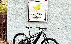 Ca La Celia Casa Con Spa, Piscina Y Bbq